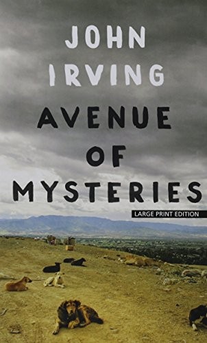 Cover for Avenue of Mysteries (Thorndike Press Large Print Basic)