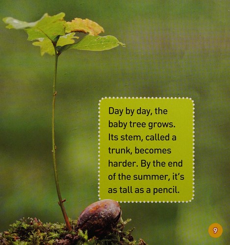 Cover for Explore My World a Tree Grows Up