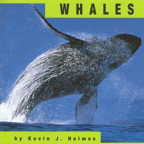 Cover for Whales (Animals)