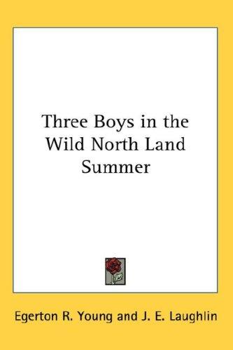 Cover for Three Boys in the Wild North Land Summer