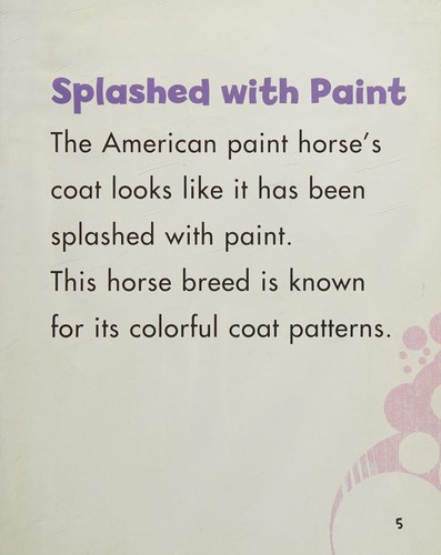 Cover for American paint horses