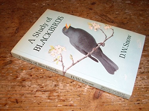 Cover for A study of blackbirds