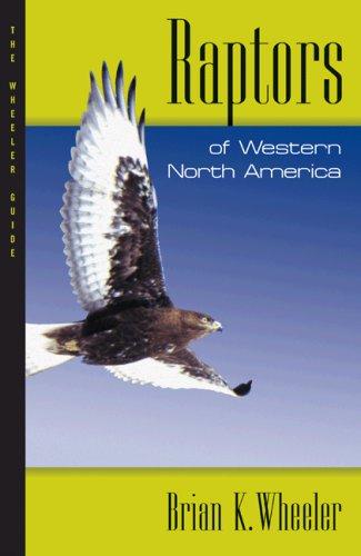 Cover for Raptors of Western North America