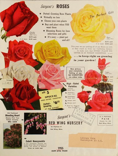 Cover for Sargent's Red Wing Nursery, 1955 our 27th year
