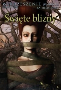 Cover for Święte blizny