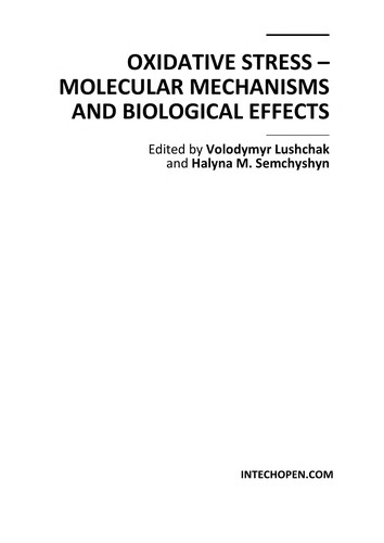 Cover for Effects of Oxidative Stress and Antenatal Corticosteroids on the Pulmonary Expression of Vascular Endothelial Growth Factor (VEGF) and Alveolarization