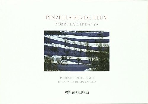 Cover for Pinzellades de llum
