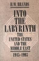 Cover for Into the labyrinth