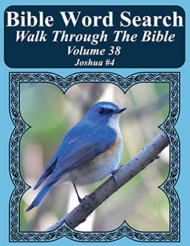 Cover for Bible Word Search Walk Through The Bible Volume 38