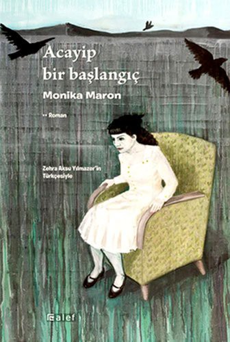 Cover for Acayip Bir Baslangic