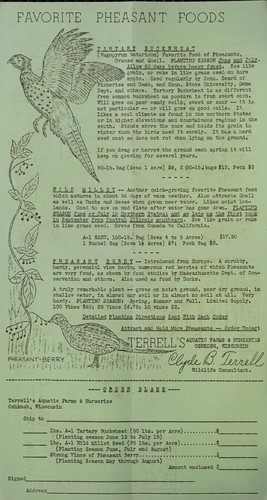 Cover for Favorite pheasant foods