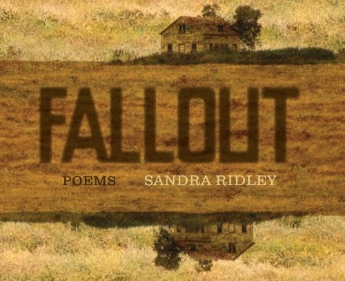 Cover for Fallout
