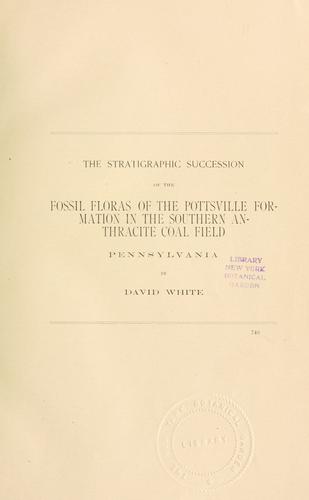 Cover for The stratigraphic succession of the fossil floras of the Pottsville formation in the southern anthracite coal field, Pennsylvania