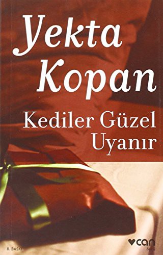Cover for Kediler Güzel Uyanir
