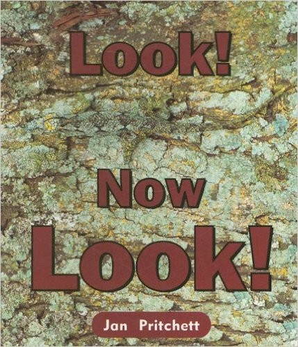 Cover for Look! Now Look!!