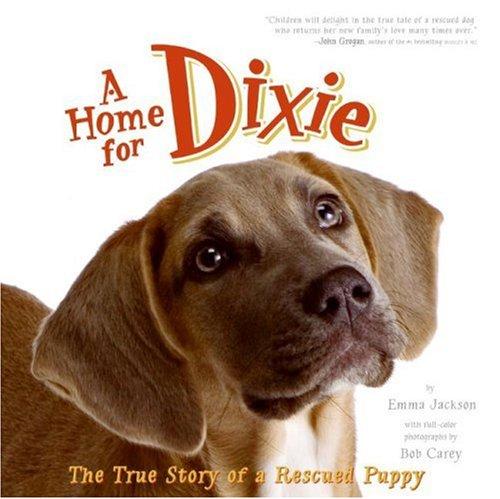 Cover for A Home for Dixie
