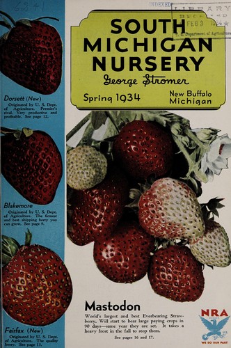Cover for South Michigan Nursery
