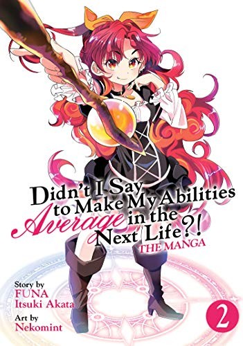 Cover for Didn't I Say to Make My Abilities Average in the Next Life?!  Vol. 2