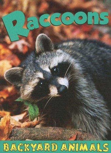Cover for Raccoons (Backyard Animals)