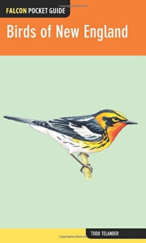 Cover for Birds of New England