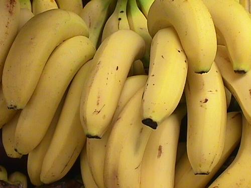 Cover for The Goalkeeper's Revenge