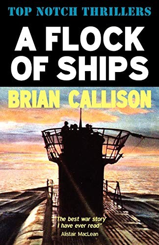 Cover for A Flock of Ships