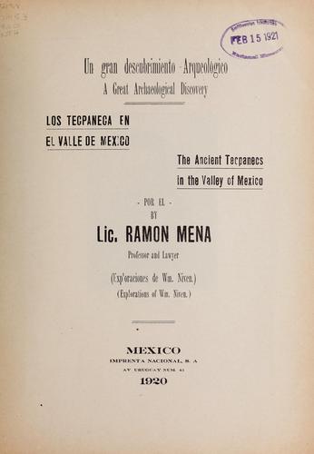 Cover for Un gran descubrimiento arqueológico