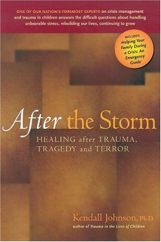 Cover for After the storm