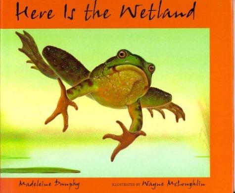 Cover for Here is the wetland