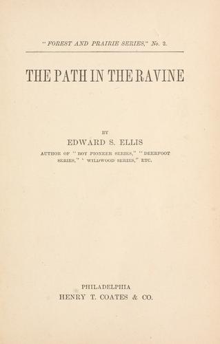 Cover for The path in the ravine