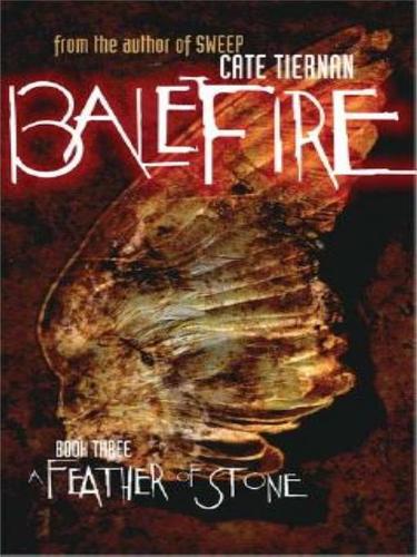 Cover for A Feather of Stone