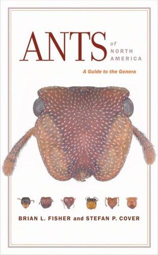 Cover for Ants of North America
