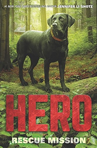 Cover for Hero