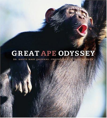 Cover for Great Ape Odyssey