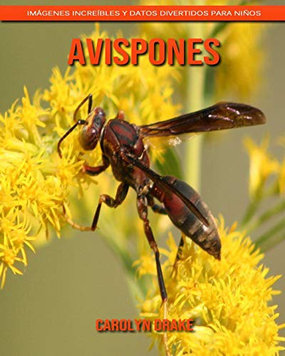 Cover for Avispones