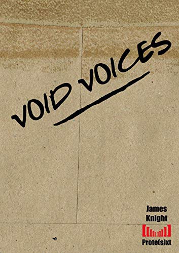 Cover for Void Voices