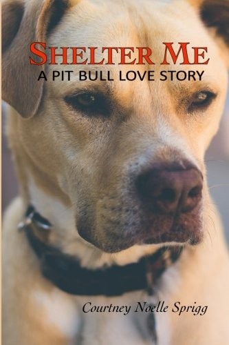 Cover for Shelter Me
