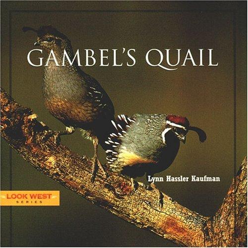 Cover for Gambel's Quail