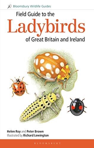 Cover for Field Guide to the Ladybirds of Great Britain and Ireland