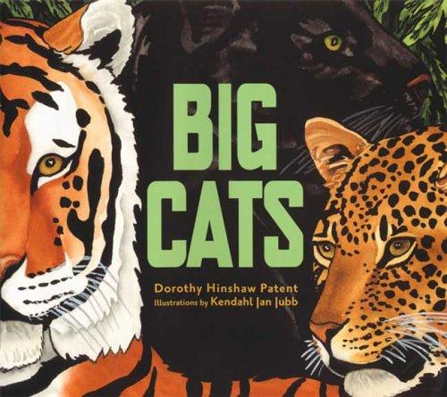 Cover for Big Cats
