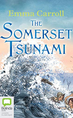 Cover for The Somerset Tsunami