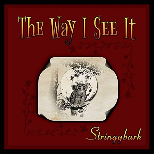 Cover for The Way I See It