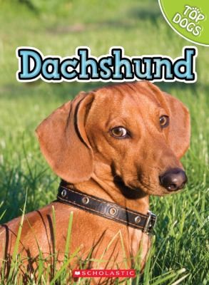Cover for Dachshund