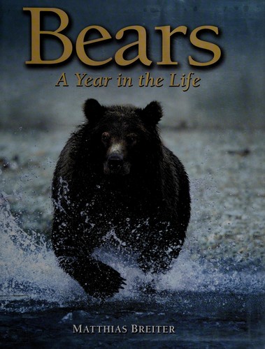 Cover for Bears