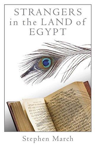 Cover for Strangers in the land of Egypt