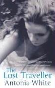 Cover for The Lost Traveller (Virago Modern Classics)