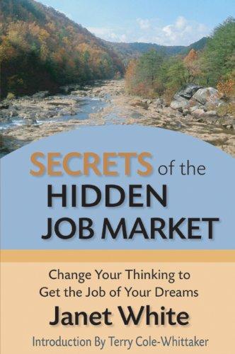 Cover for Secrets of the Hidden Job Market