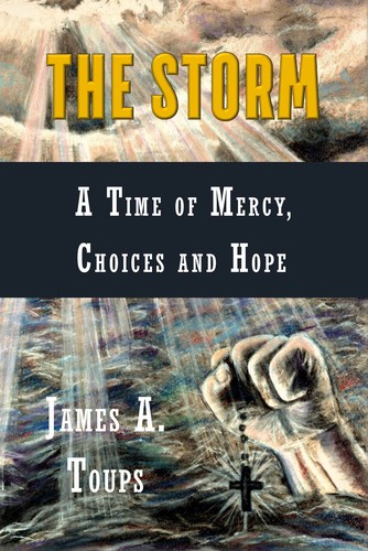 Cover for The Storm: A Time of Mercy, Choices and Hope
