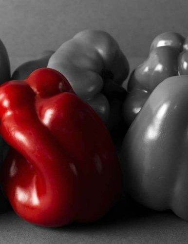 Cover for Capsicums
