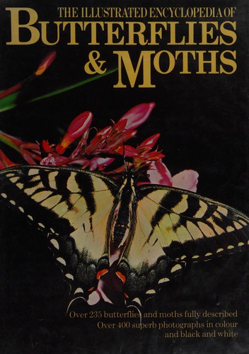 Cover for The illustrated encyclopedia of butterflies & moths